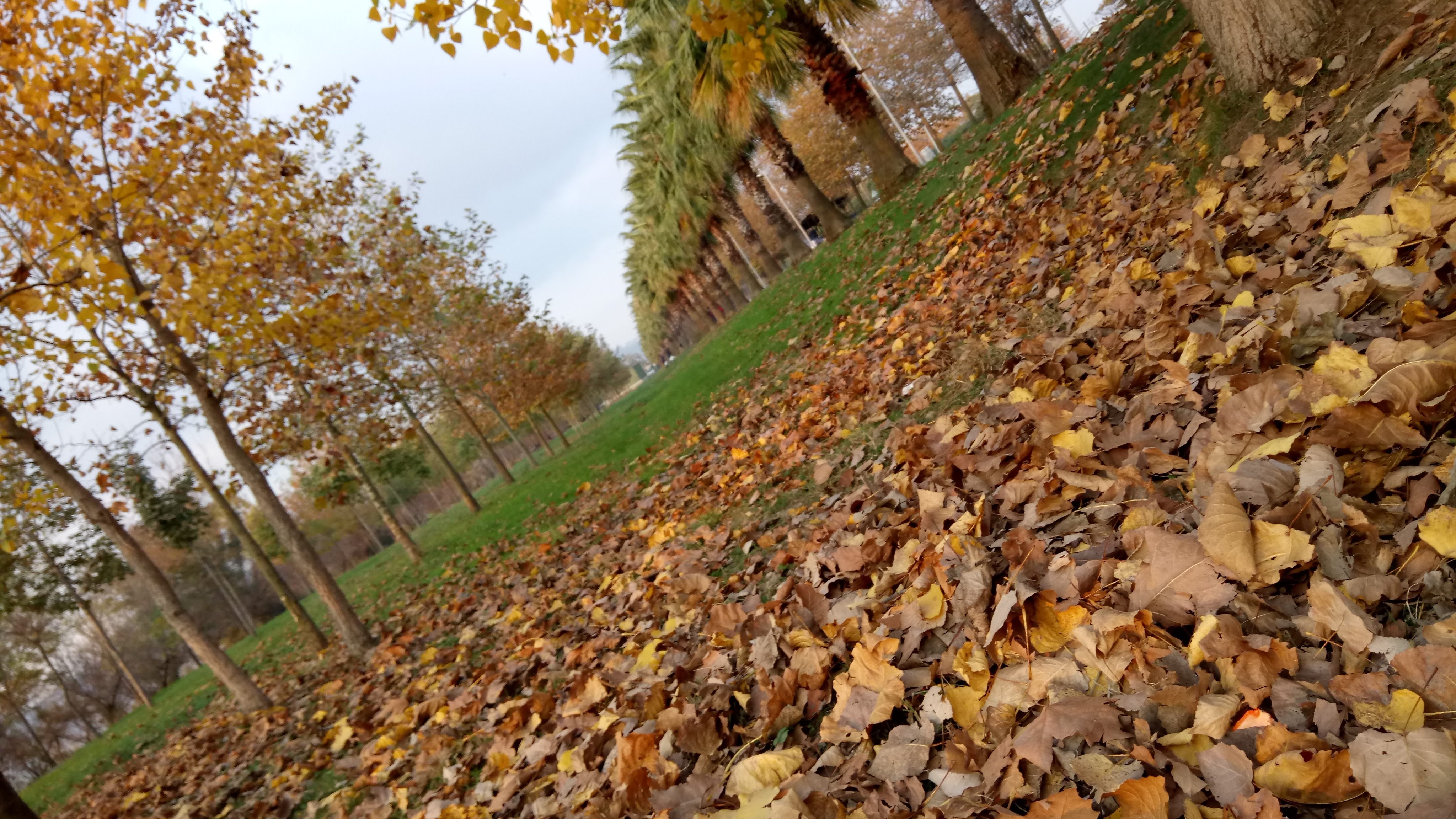 rüzgar, kasım, november, autumn, sonbahar, seyahat, travel, anadolu, anatolia